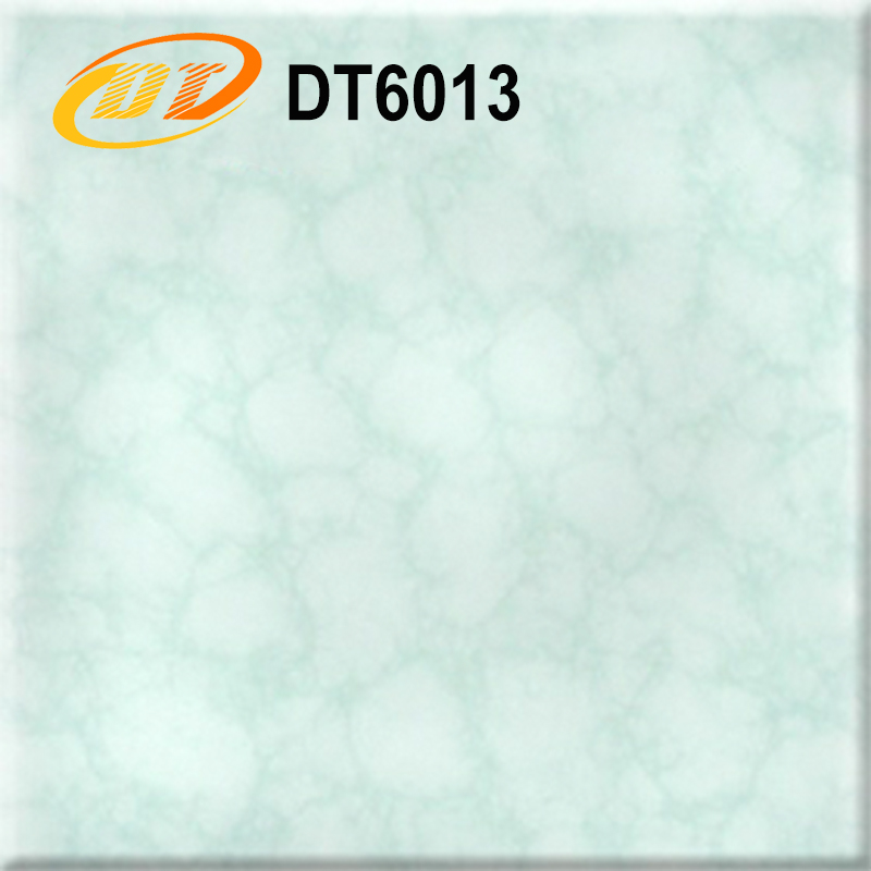 DT6013