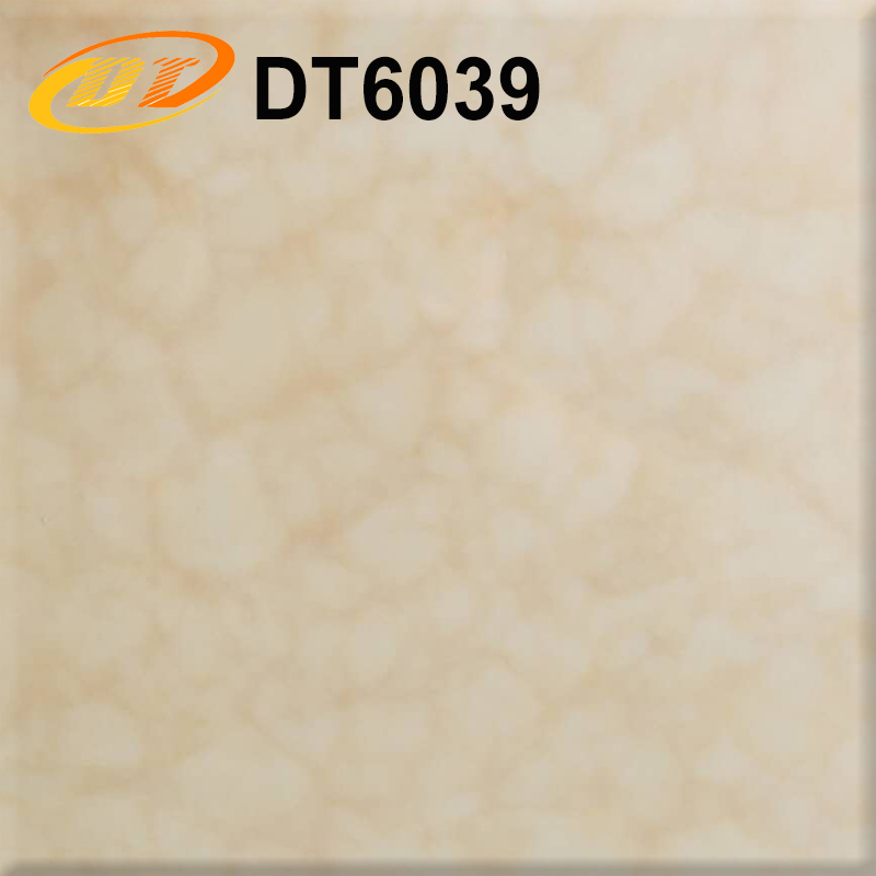 DT6039