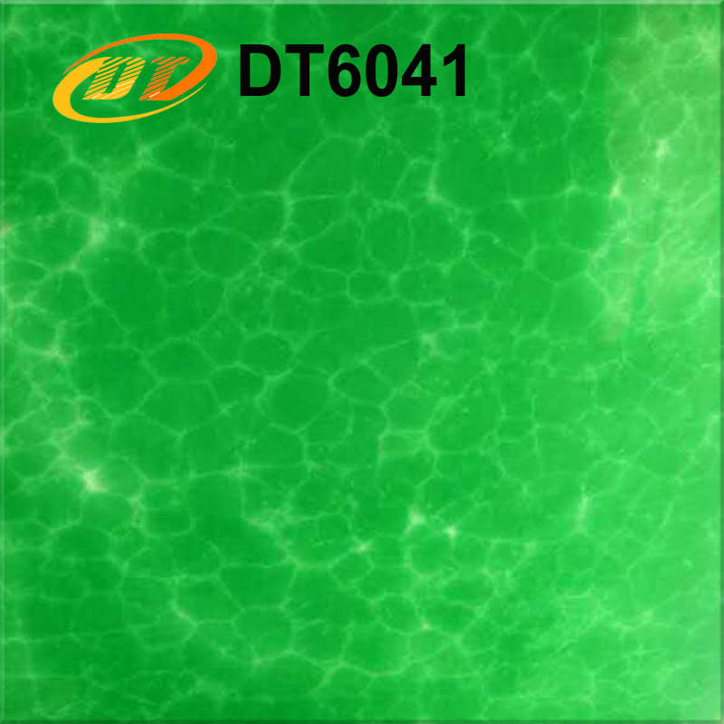 DT6041